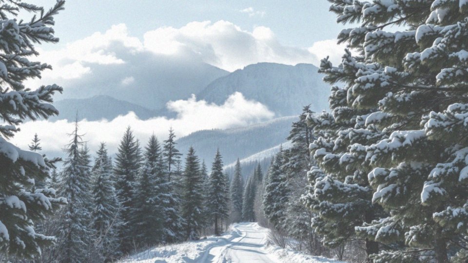 Dlaczego Zakopane to idealne miejsce na zimowy weekend?