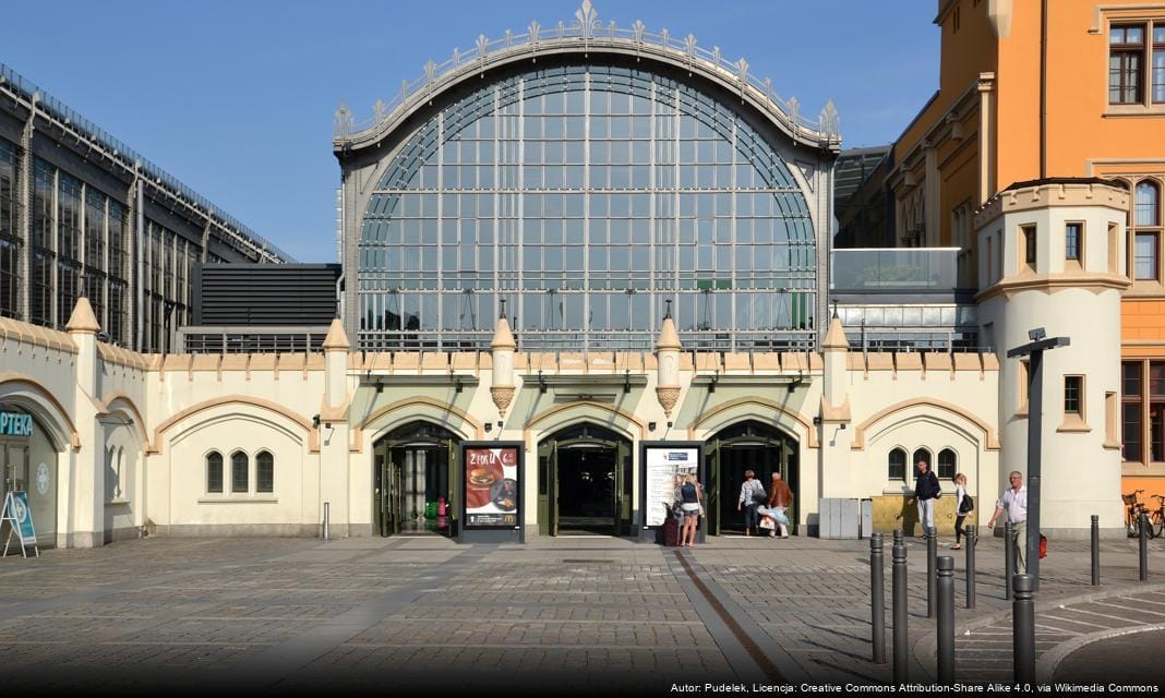 Wrocław wspiera bezdomne zwierzęta nowym programem opieki